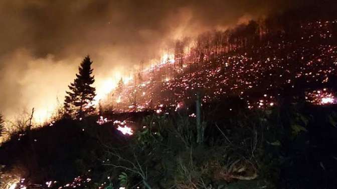 Trabzonda ki ormanları PKKya Pontusçular mı yaktırdı?